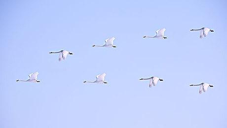 《星露谷物语》作者公开新作截图 游戏开发进度良好